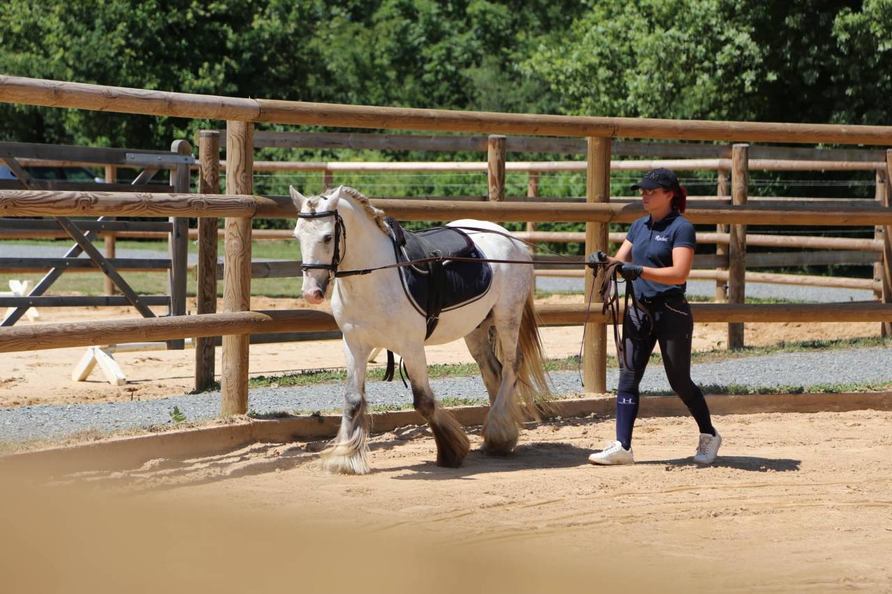 Ecuries Victoria Hoffmann.H