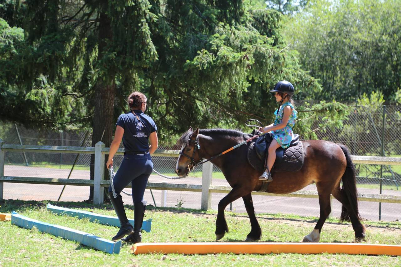 Ecuries Victoria Hoffmann.H