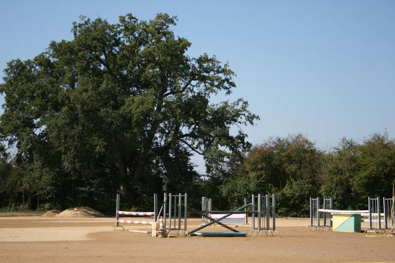 Pension chevaux/poneys proche Poitiers