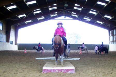 PENSIONS POUR CHEVAUX PONEYS A DOUBLE T FARM