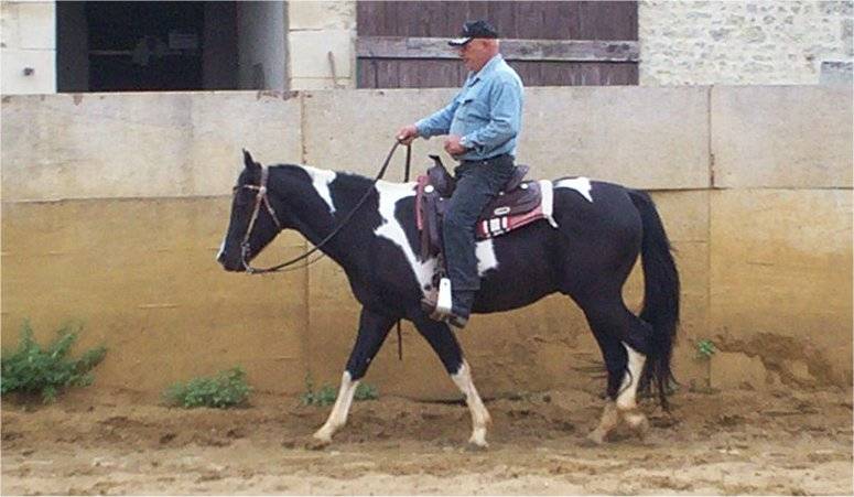 PENSIONS POUR CHEVAUX PONEYS A DOUBLE T FARM