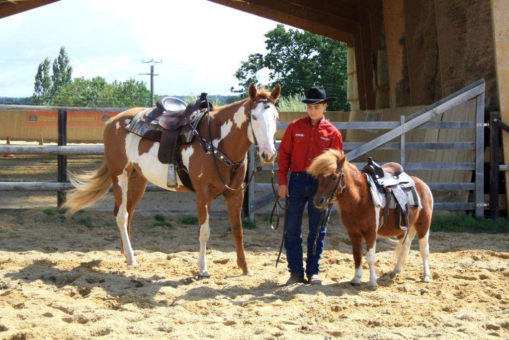PENSIONS POUR CHEVAUX PONEYS A DOUBLE T FARM