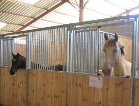 ECURIE DU MARGARIN - LES MATHES / LA PALMYRE