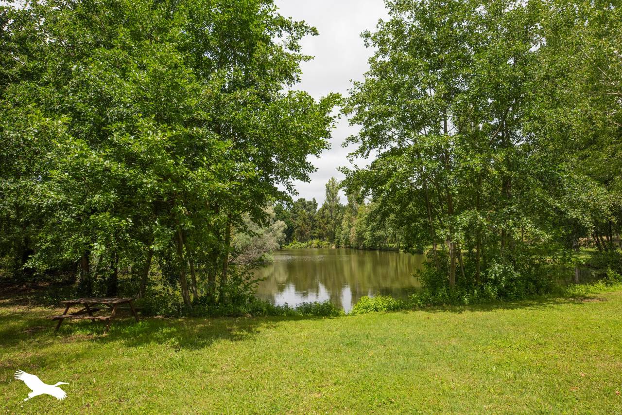 ECURIE DU MARGARIN - LES MATHES / LA PALMYRE