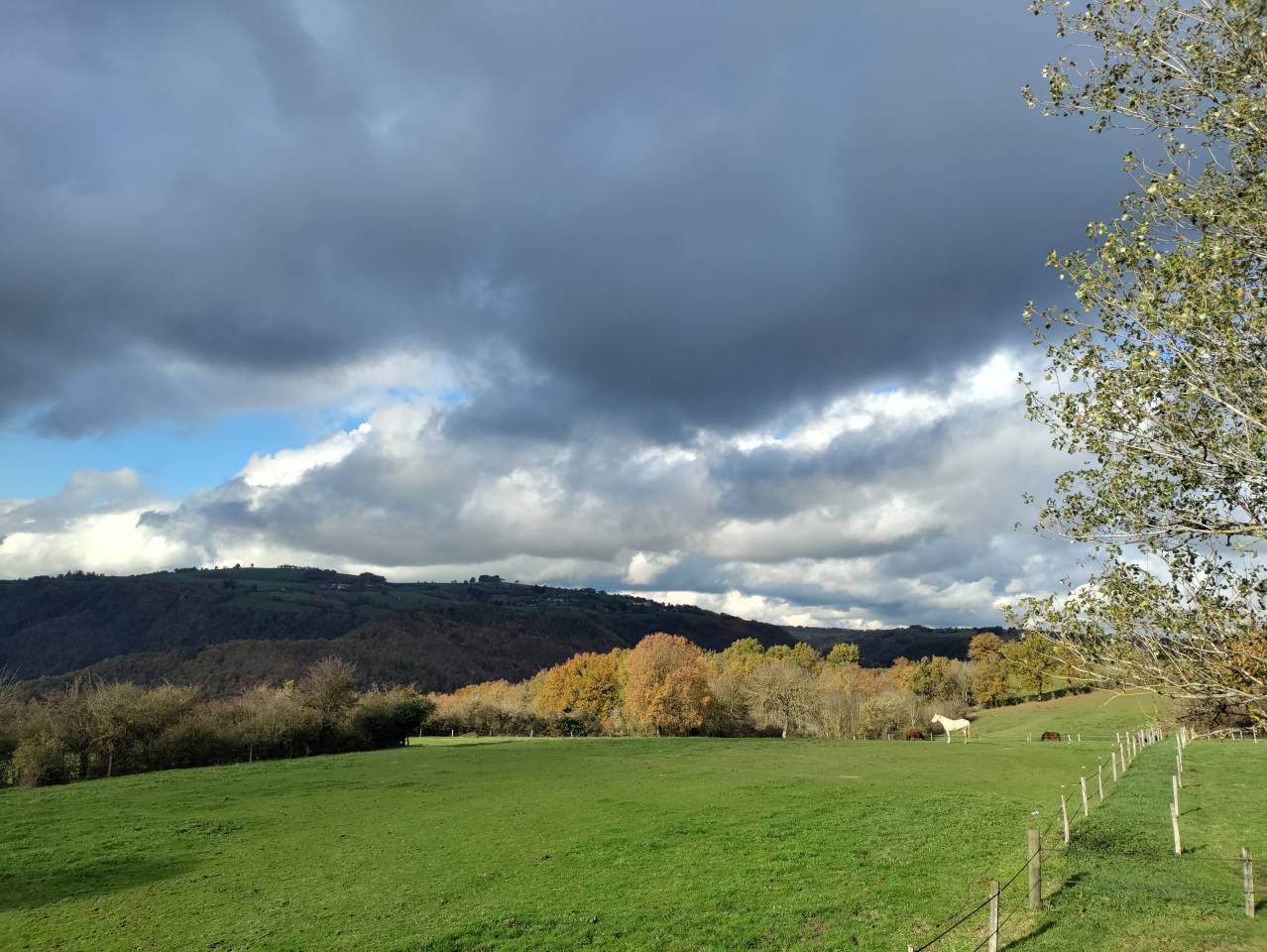 Entrainement endurance: Débourrage, Valorisation