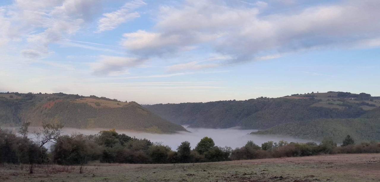 Entrainement endurance: Débourrage, Valorisation