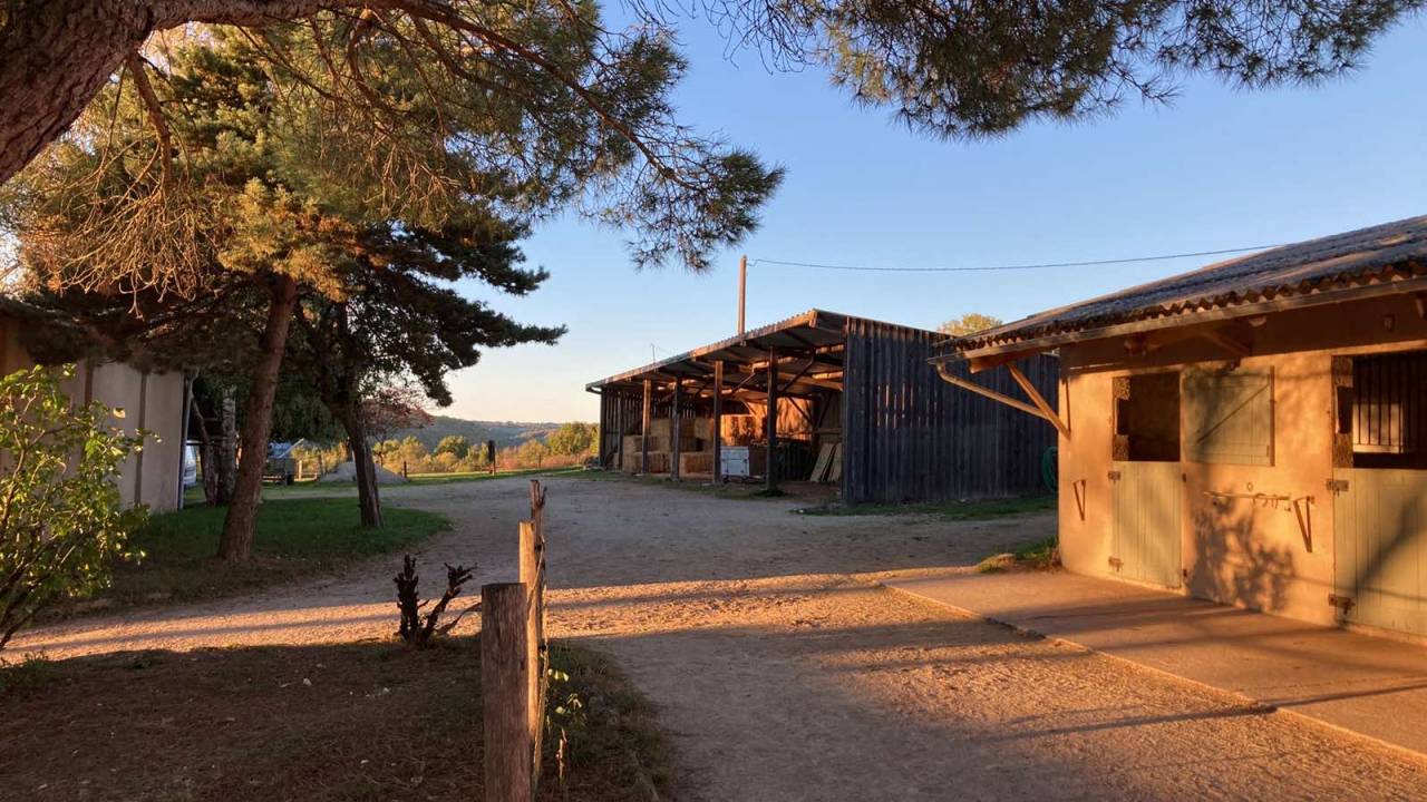 Entrainement endurance: Débourrage, Valorisation