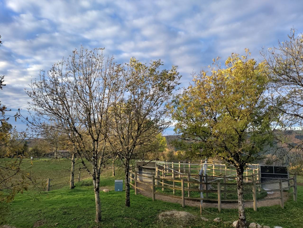 Entrainement endurance: Débourrage, Valorisation