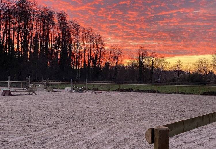 Pension & suivi CSO Haras 1h N Paris