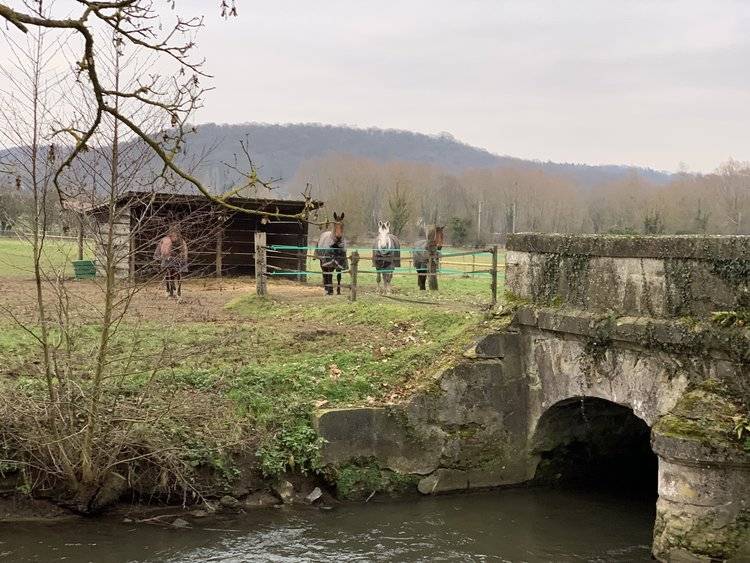 Pension & suivi CSO Haras 1h N Paris