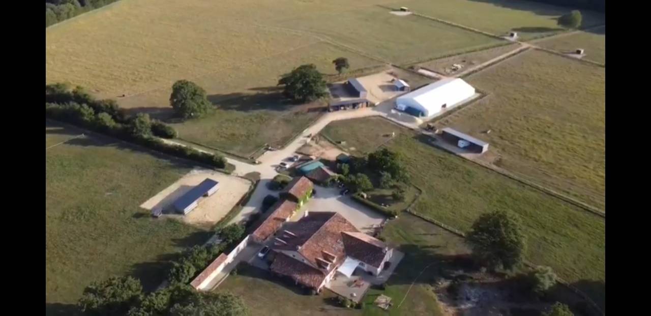 pension de cheval en retraite au pr&eacute; &agrave; partir 150&euro; HT