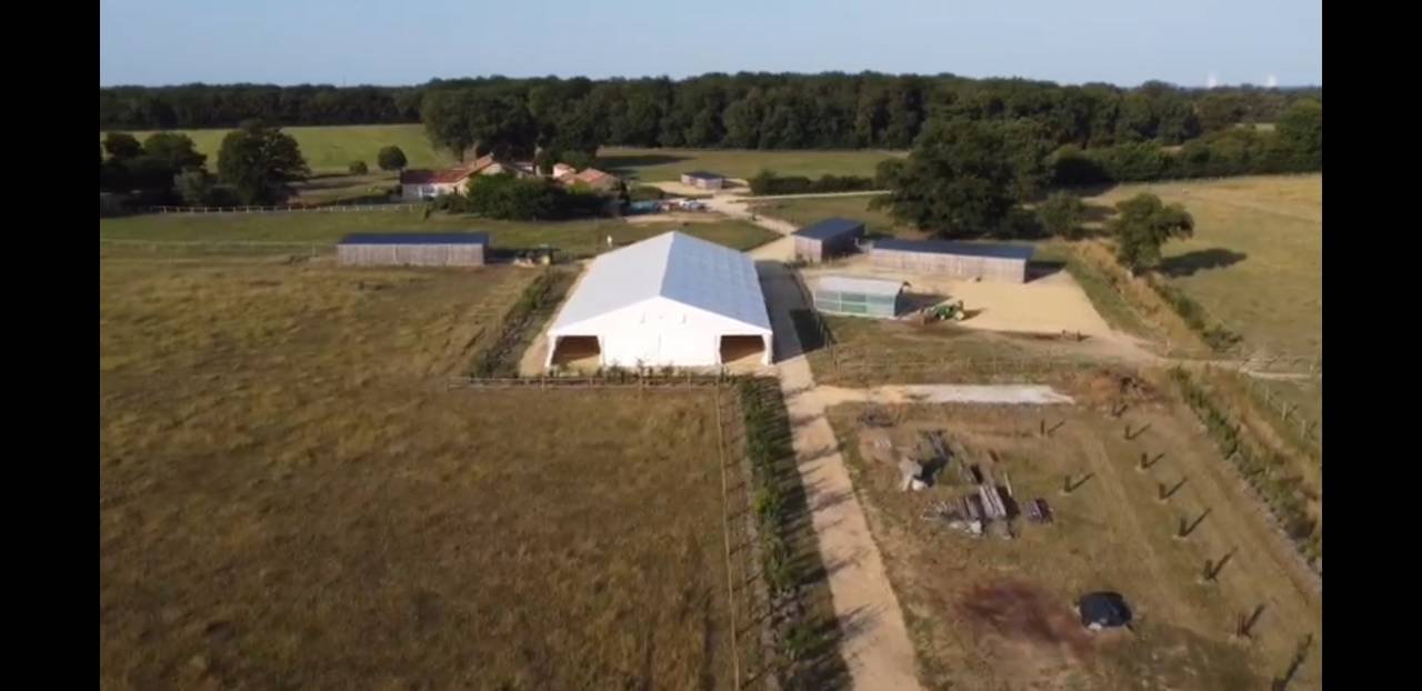 pension de cheval en retraite au pr&eacute; &agrave; partir 150&euro; HT