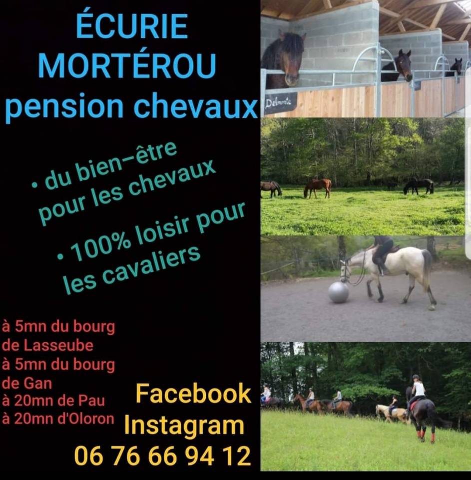 Pensions et demi-pensions chevaux loisir