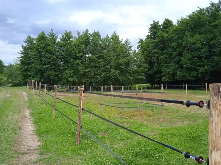 &Eacute;curie de propri&eacute;taire et valorisation Mathieu Mathurin (01)