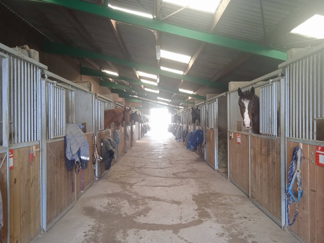 &Eacute;curie de propri&eacute;taire et valorisation Mathieu Mathurin (01)