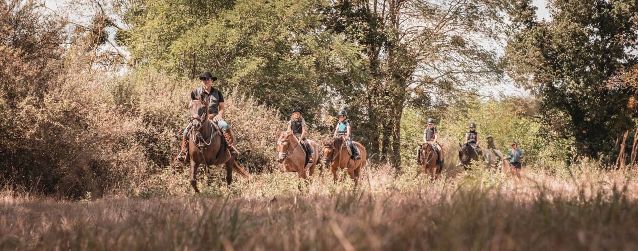 Pension équine - Domaine de montaut (09)