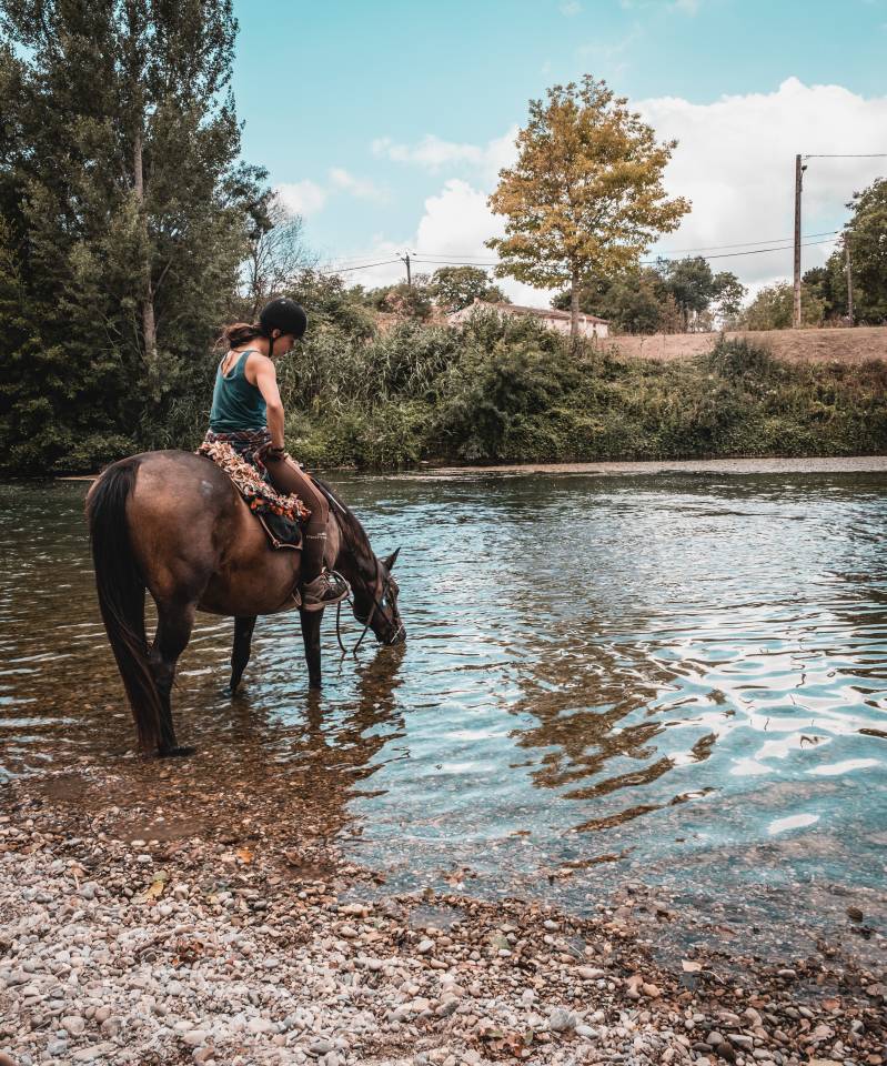 Pension équine - Domaine de montaut (09)