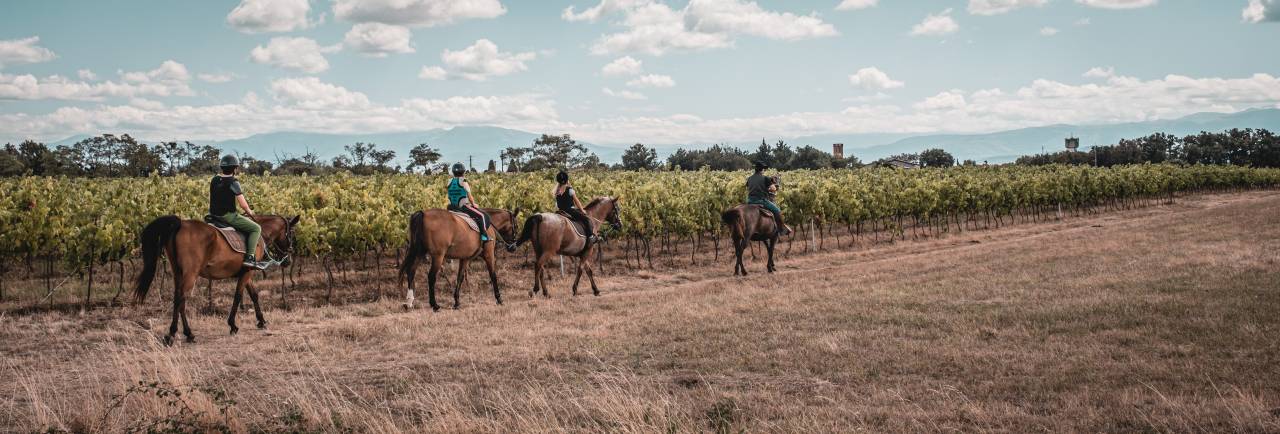Pension équine - Domaine de montaut (09)