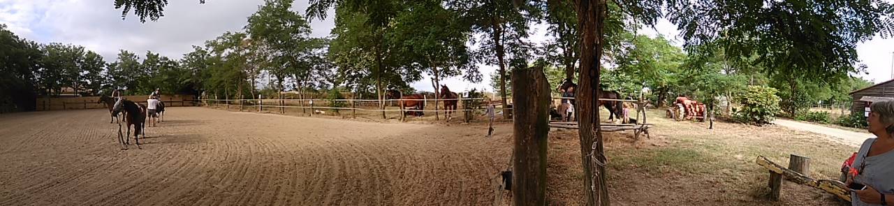 Pension équine - Domaine de montaut (09)