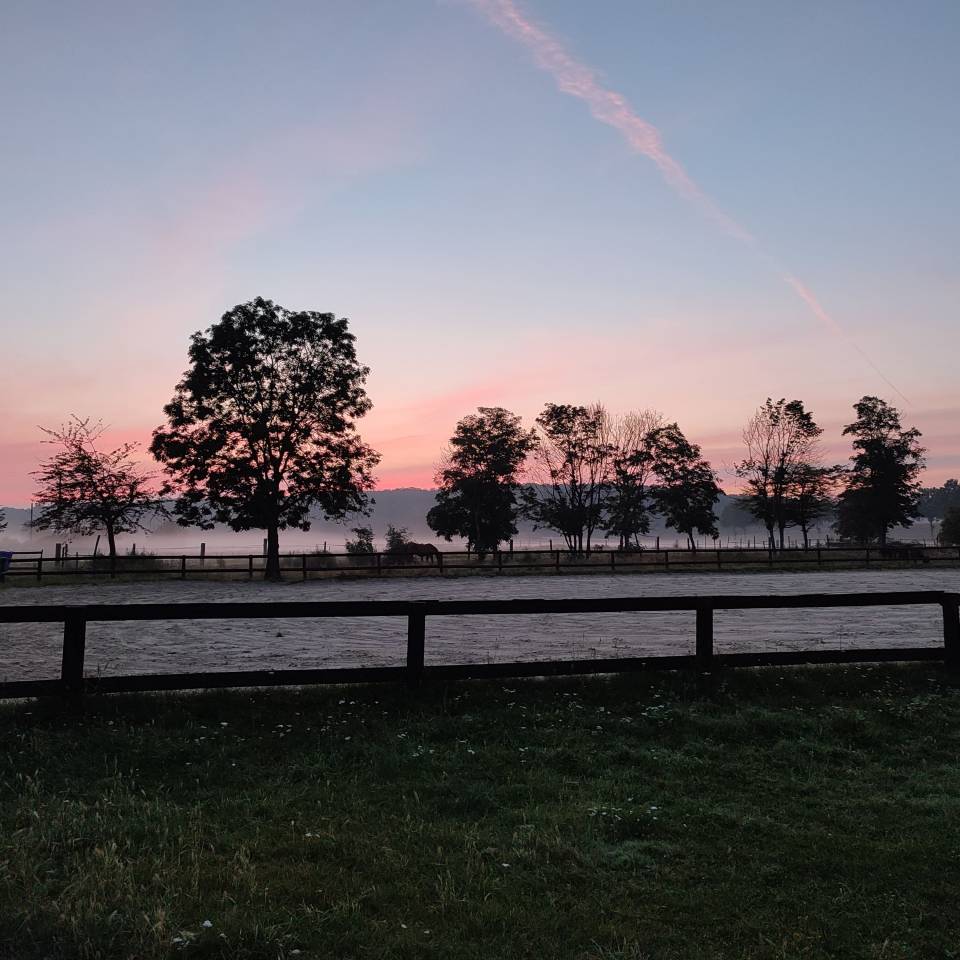 Pension chevaux - Association Rosario (28)