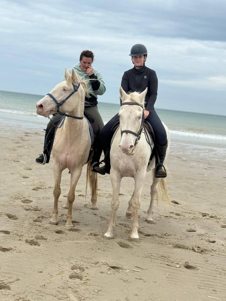 Pension chevaux - Association Rosario (28)