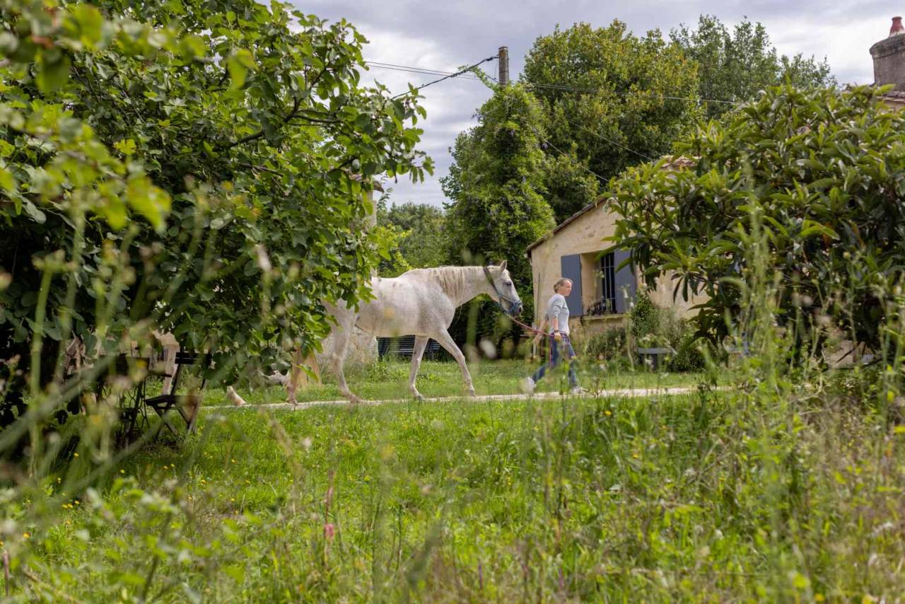 Pension et Ecurie en Nord Gironde
