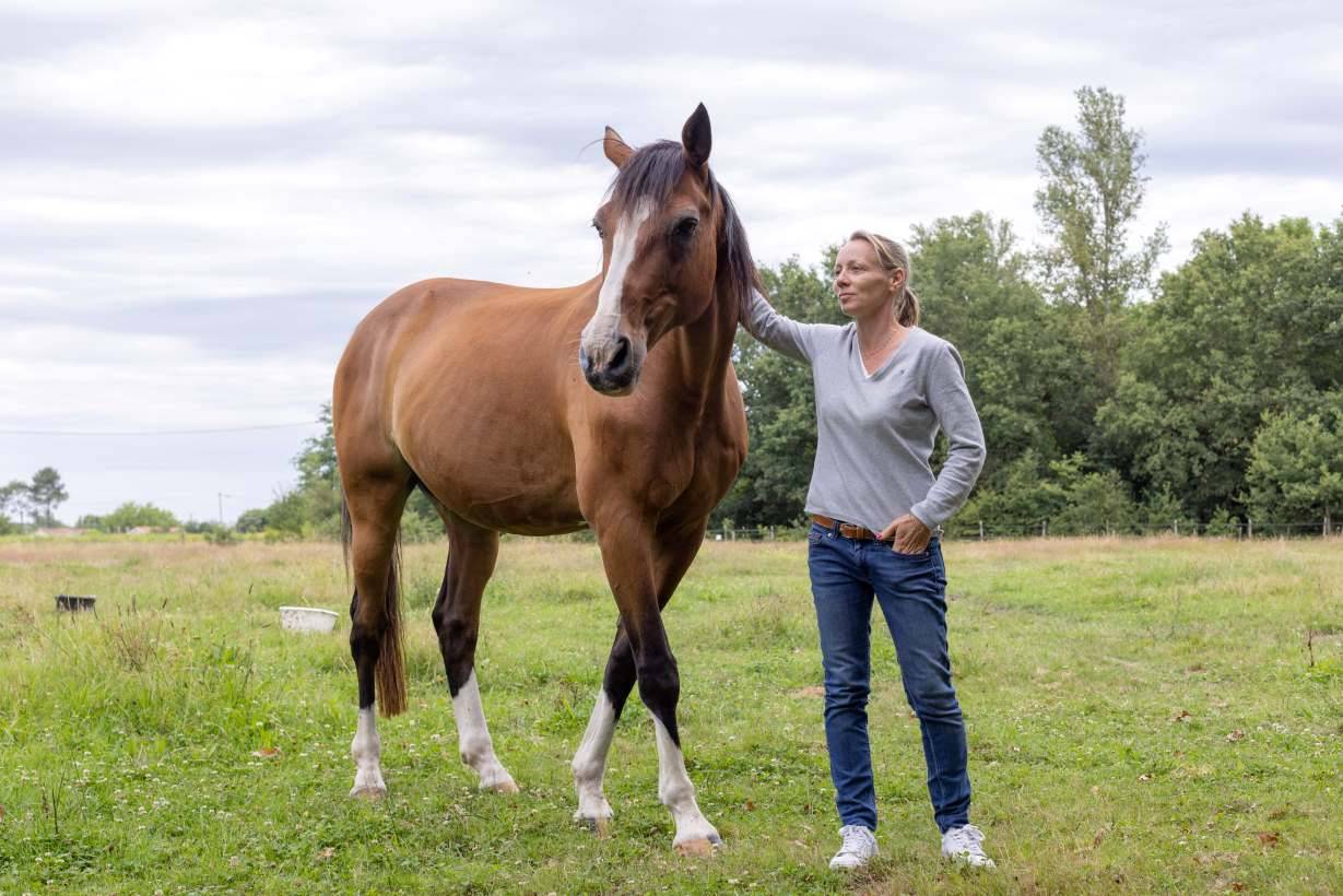 Pension et Ecurie en Nord Gironde