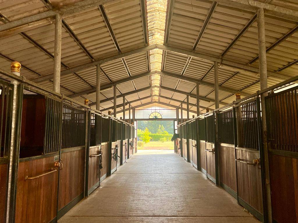 Ecurie de propriétaire, coaching, valorisation 