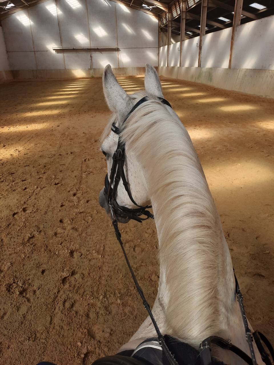 Aux portes de Montpellier Ecuries 5*