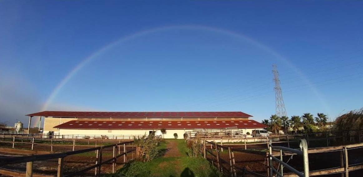 Aux portes de Montpellier Ecuries 5*