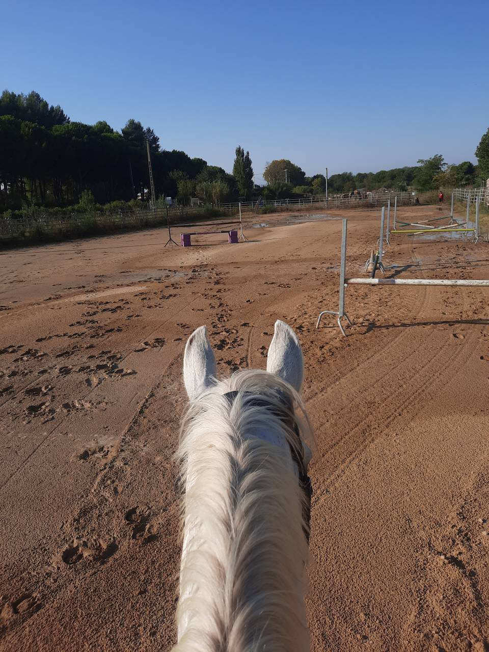 Aux portes de Montpellier Ecuries 5*