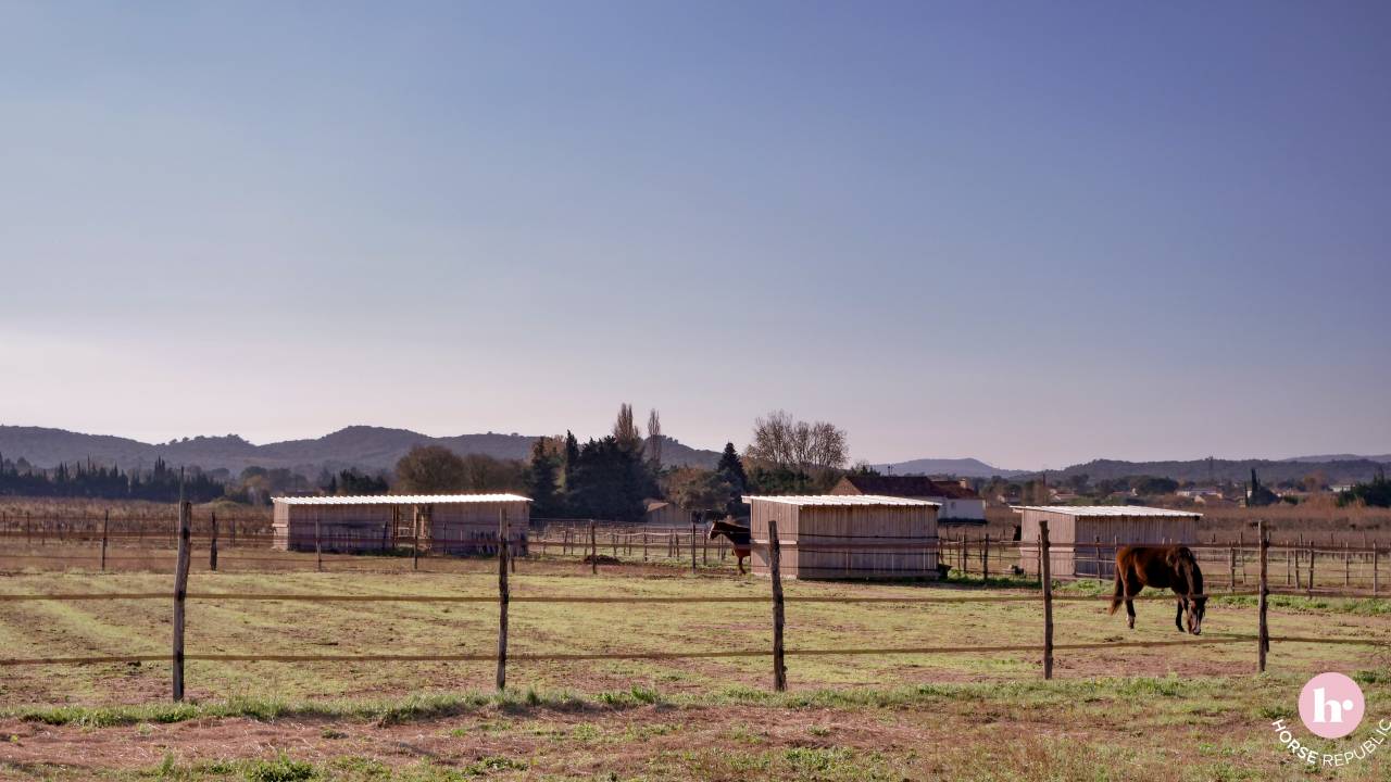 Ecurie de propri&eacute;taires Label Qualit'Equid&eacute;s (Gard)