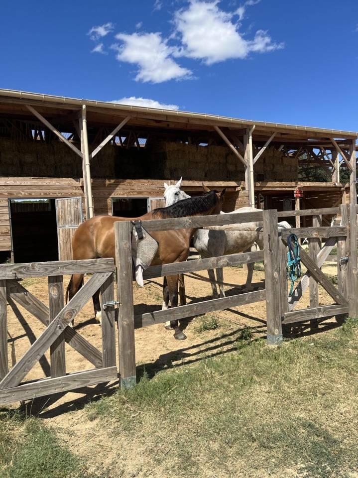 Ecurie de propri&eacute;taires Label Qualit'Equid&eacute;s (Gard)