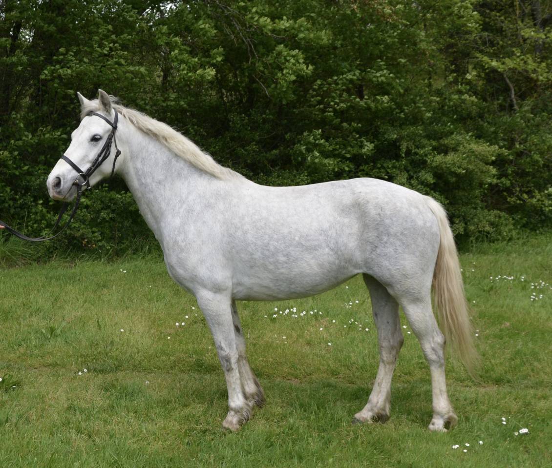 PONETTE 6 ANS 