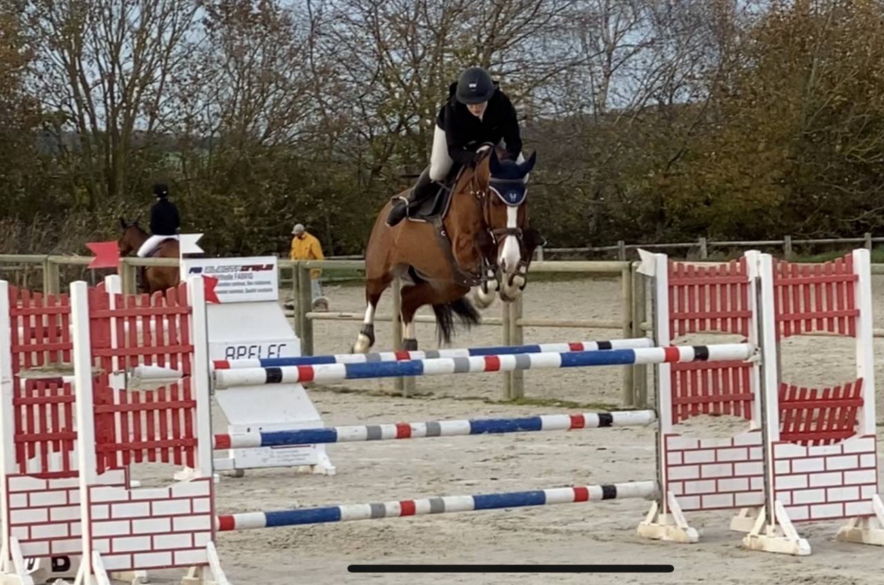 Les &Eacute;curies CLB Sporthorses 
