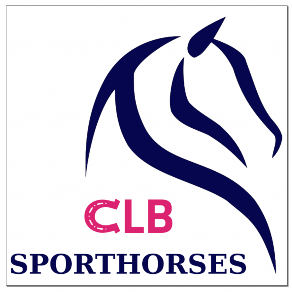 Les &Eacute;curies CLB Sporthorses 