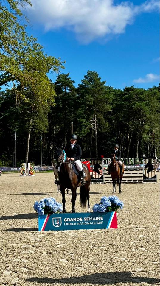 Les &Eacute;curies CLB Sporthorses 