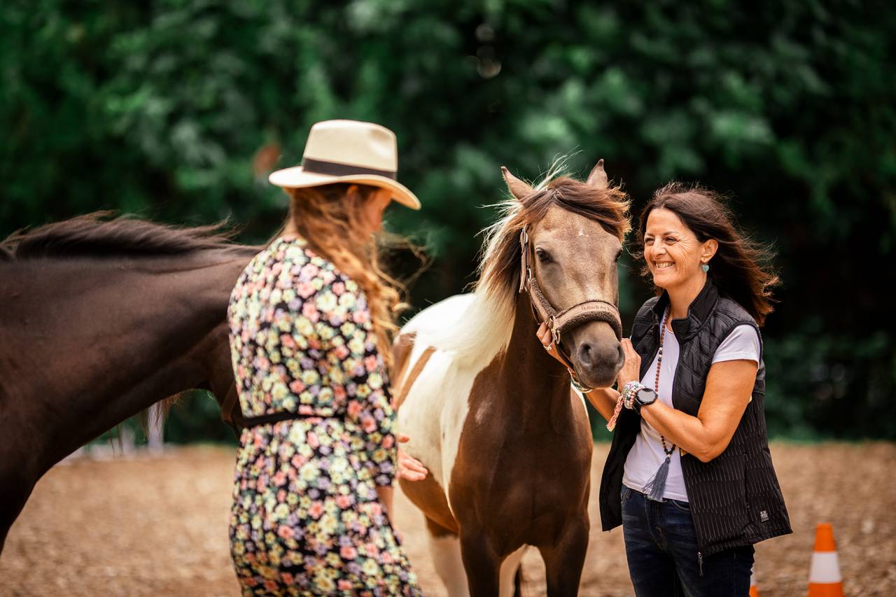 Formation : Devenez Coach Equi-Emotions