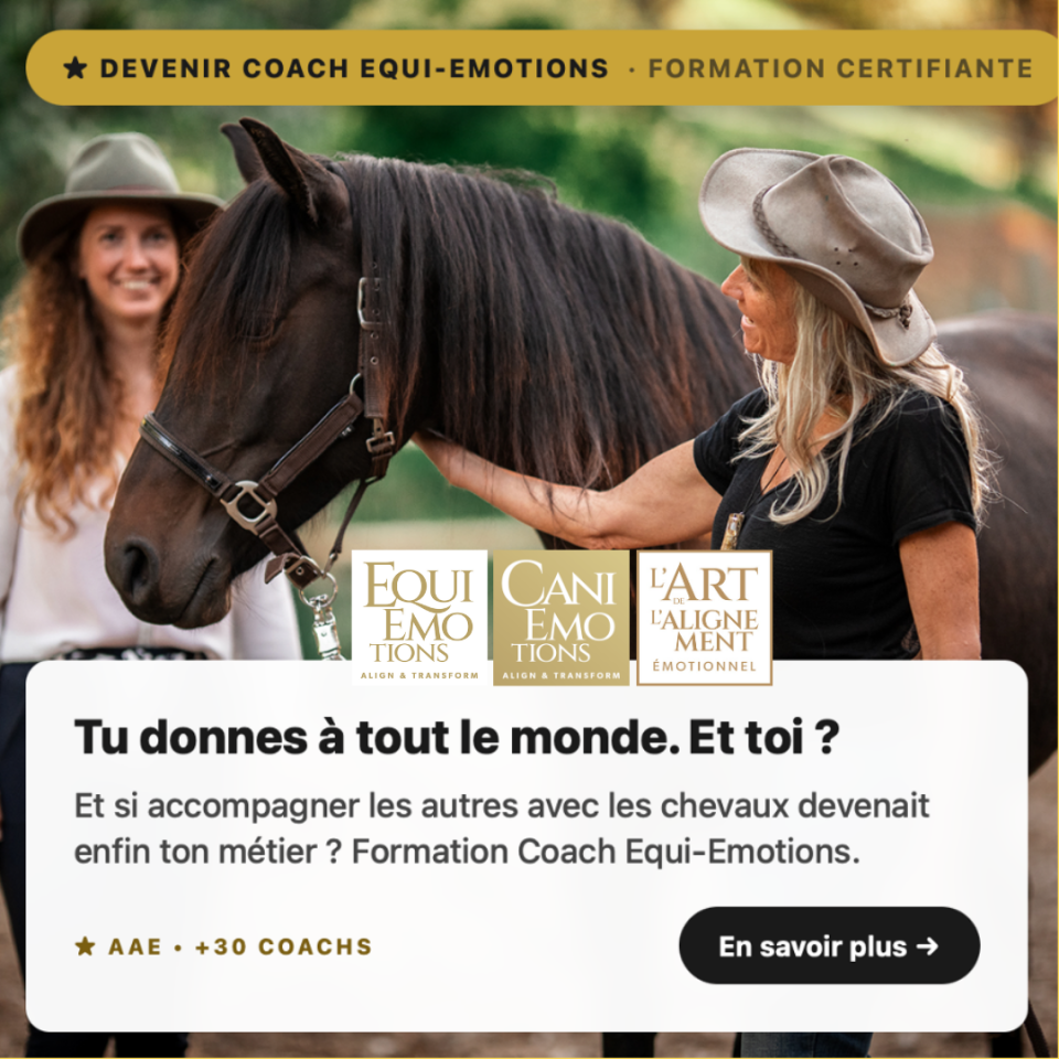 Deviens Coach Equi-Emotions