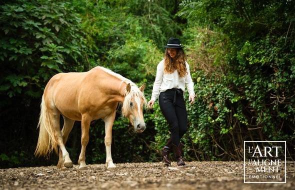 Devenir coach en &eacute;motions avec les chevaux &mdash; &Eacute;cole AAE