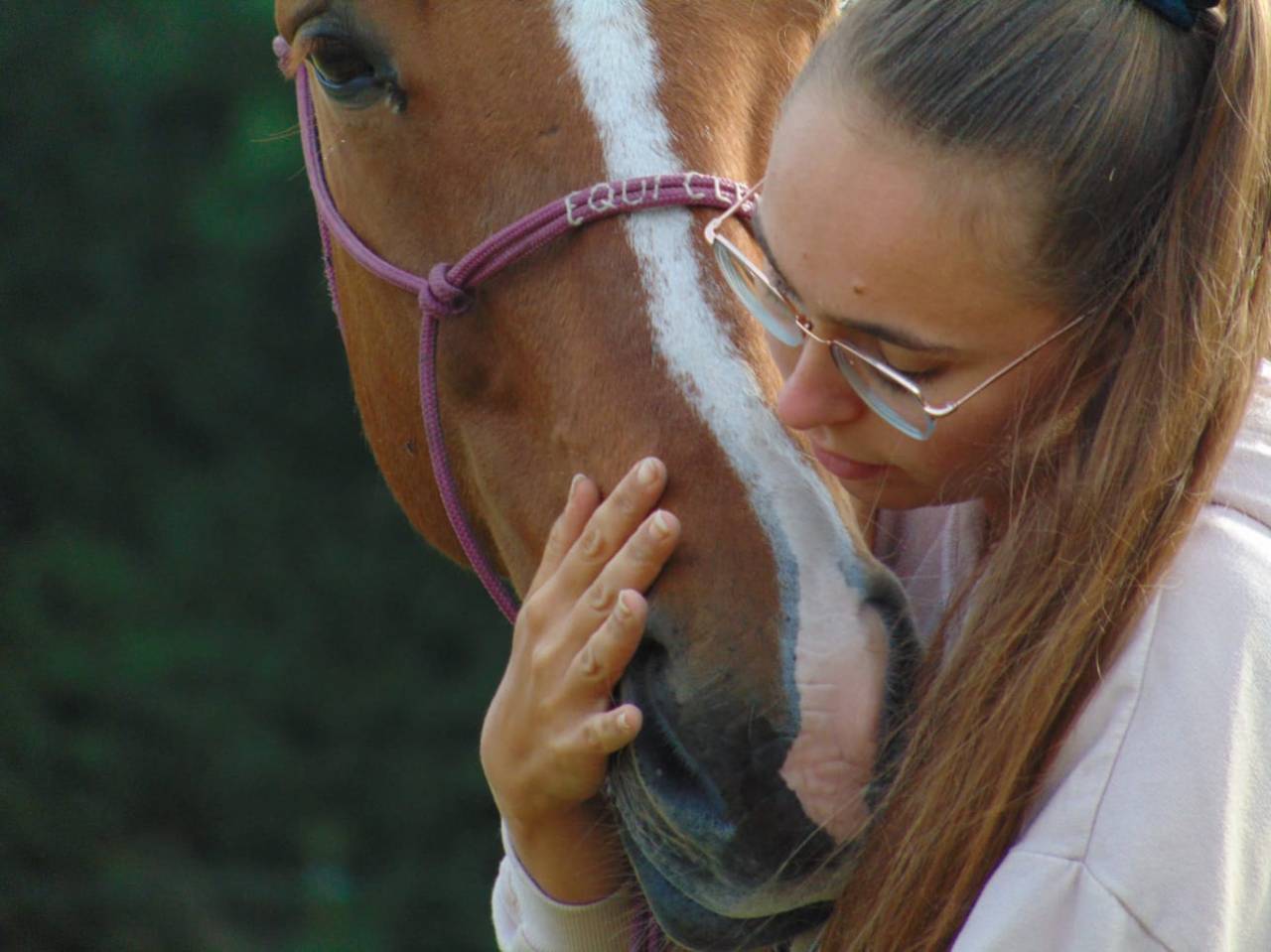 Equi Clever H : Formations en équitation éthologique
