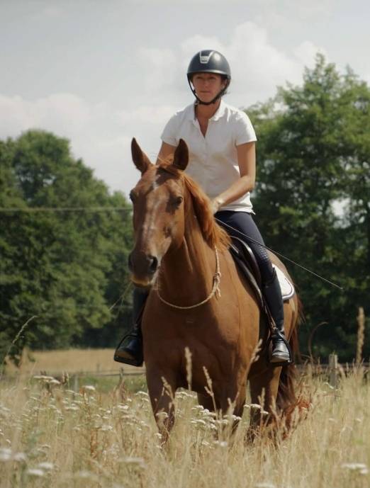 Equi Clever H : Formations en équitation éthologique