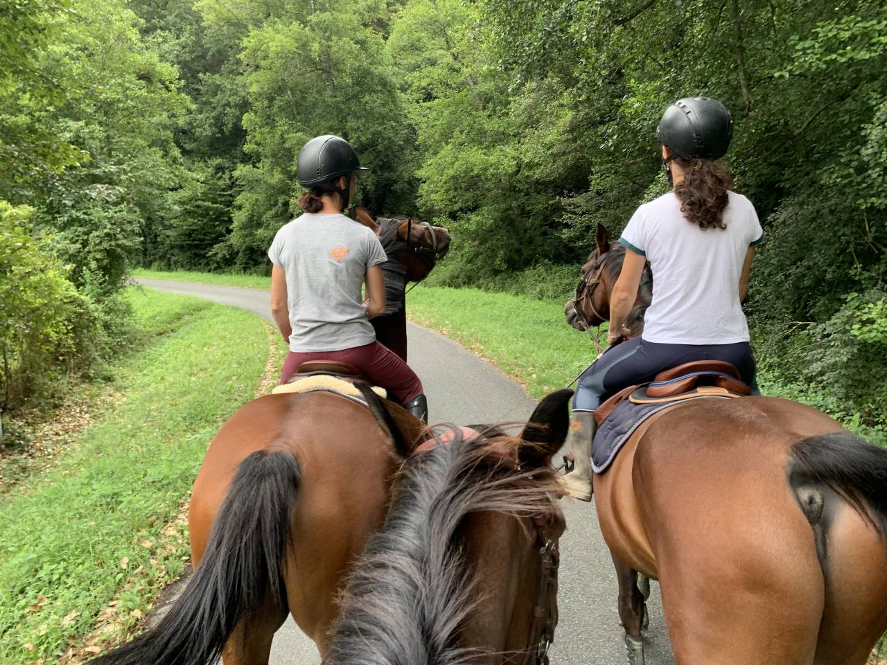 Pension pré/ box - Ecurie ENH (33)