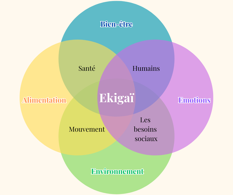 Formation Technicien du Bien-être équin