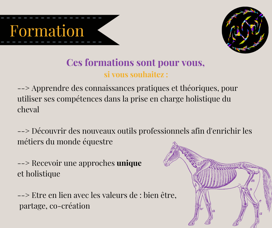 Formation Technicien du Bien-être équin