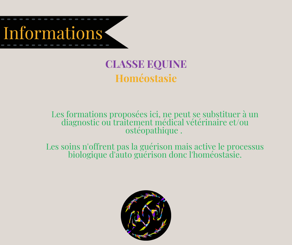 Formation Technicien du Bien-être équin