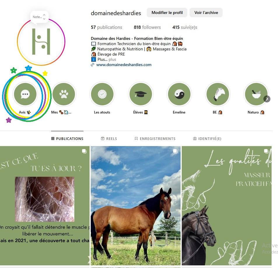 Formation Technicien du Bien-&ecirc;tre &eacute;quin