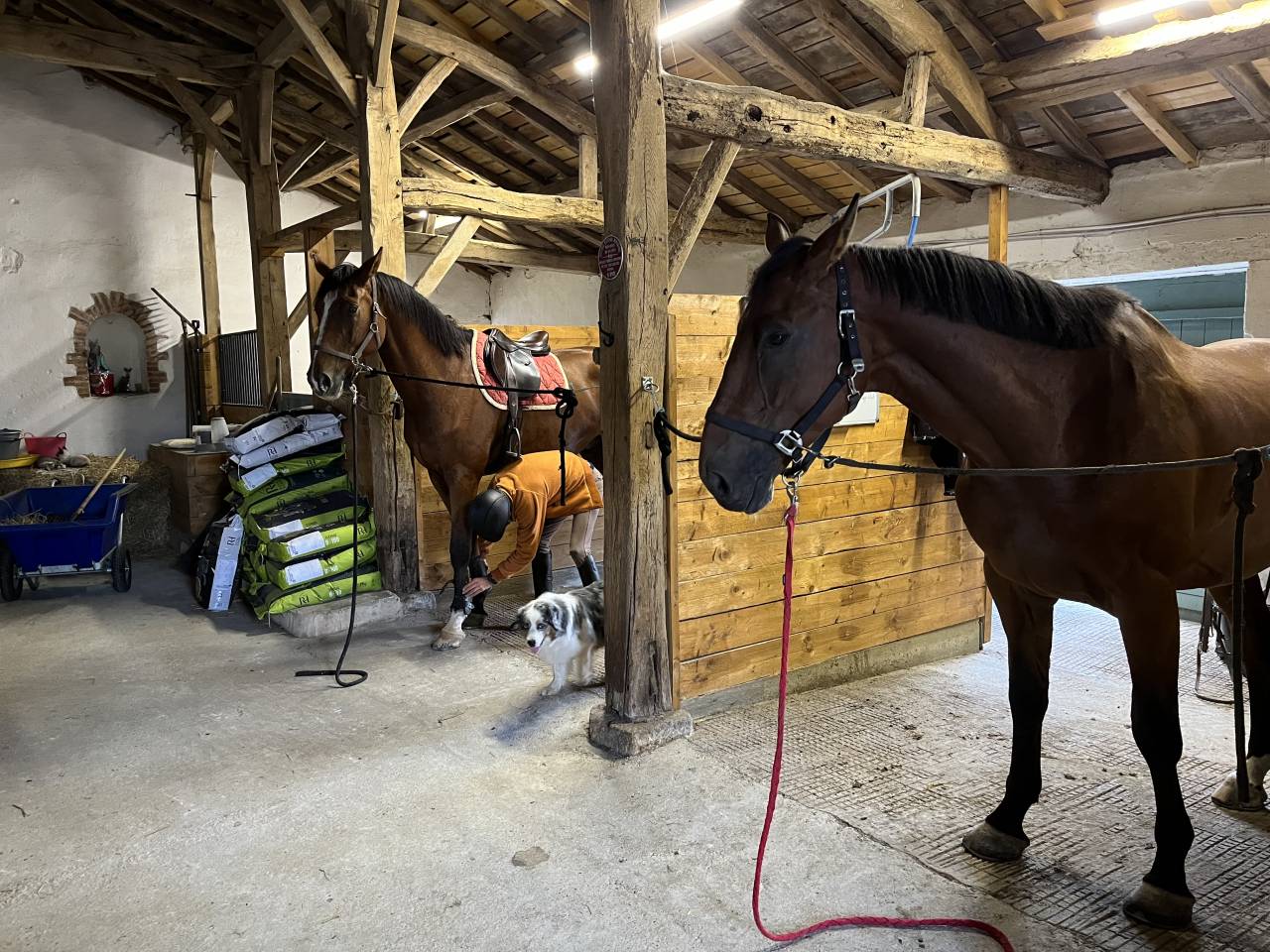 Pension box/pr&eacute; - Ecurie de propri&eacute;taires (85)