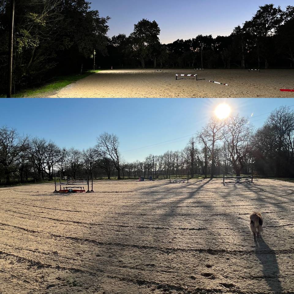 Pension box/pr&eacute; - Ecurie de propri&eacute;taires (85)