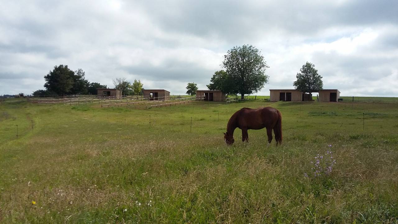 Retraite chevaux - Ecurie de la Dev&egrave;ze (12)
